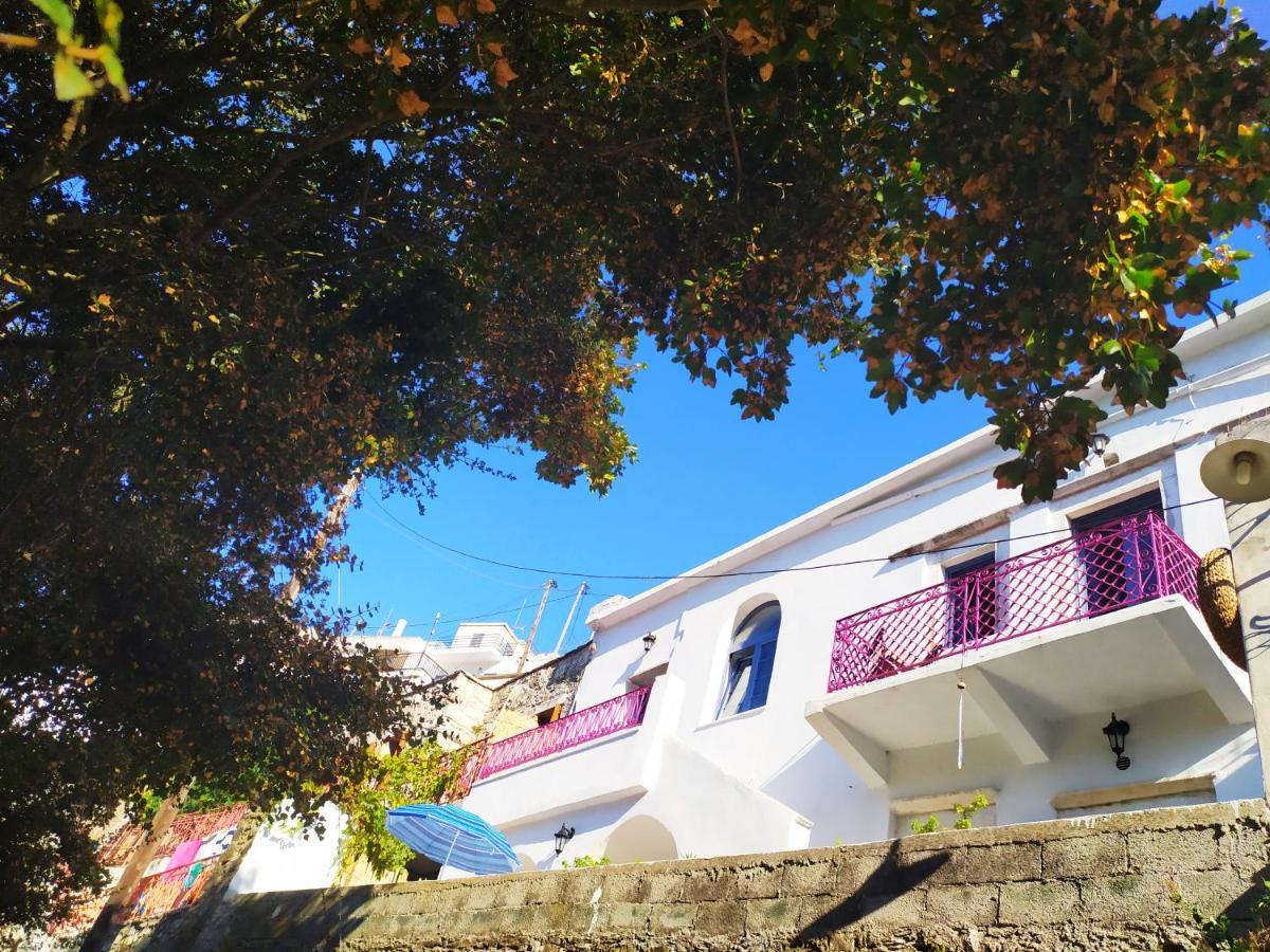 Traditional Family House, Ground Floor With Yard Koronos Dış mekan fotoğraf