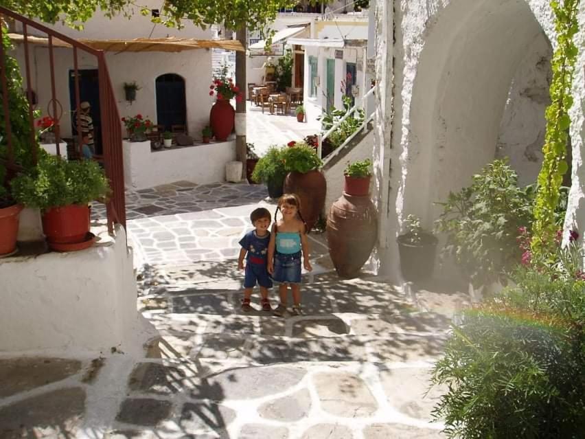 Traditional Family House, Ground Floor With Yard Koronos Dış mekan fotoğraf